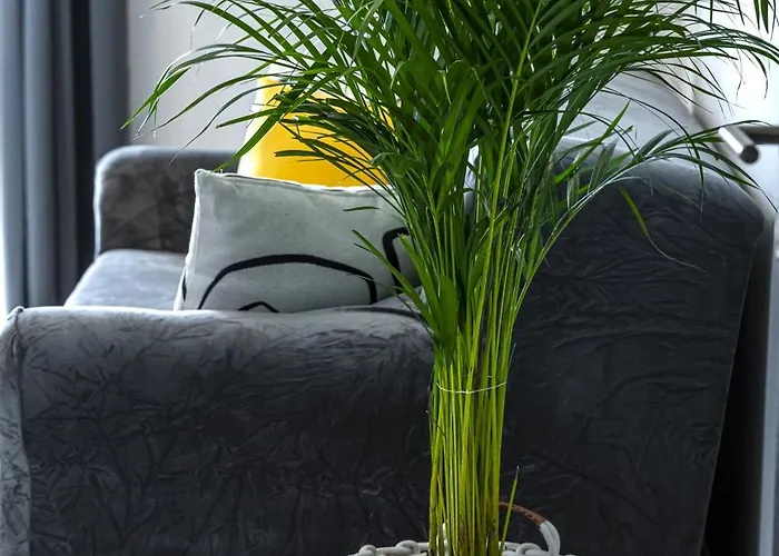 公寓 莱亚公寓 察夫塔特